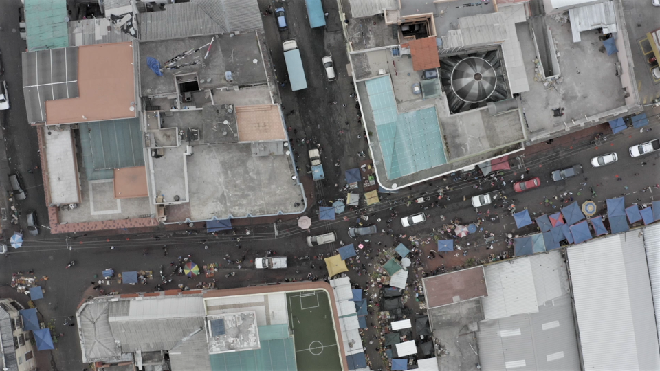 Improving the resilience of urban food systems